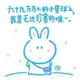 兔子的TWO