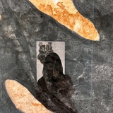 Komono