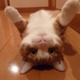 伍小雾