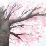 翼雨月夜