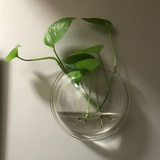 渡邊_