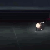 🌙🦭