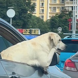 博子