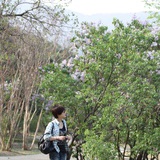 乾元晋弋