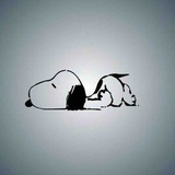 旋风土豆