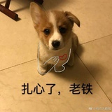 zxiao