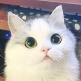 楠楠