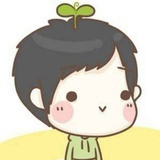 装风的小龍