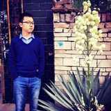 杨老Shi