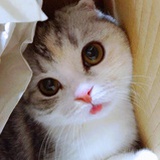 S慕慕慕