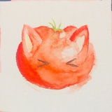番茄狸