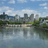 椿·来都来了