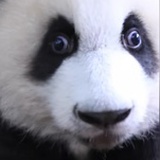 转点随心