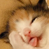 SUKI