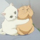 胖狗狗