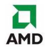 AMD N970