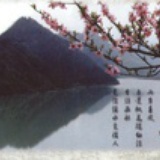 琴子