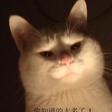 说了你也记不住