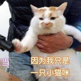 女子无才便是德