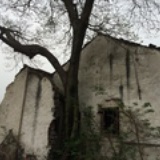 影痴