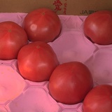 金闪闪