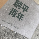 塔姆邦富贵花