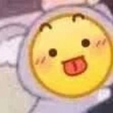 大琳籽