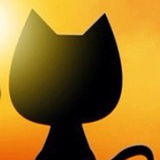 猫未夜