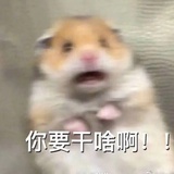 橘子很酸