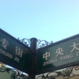 蓝山飞鸟