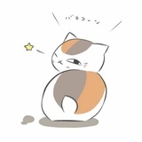 栗宝宝