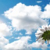 四月立夏