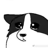 狗