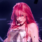 吉赛尔女士的狗