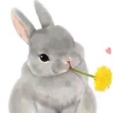慢生活