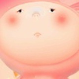 桔梗花。