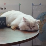 大可