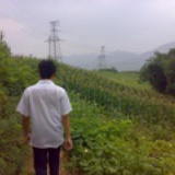 JAIRO