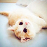妙