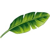 gerace瑞瑞