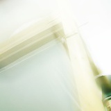 菌