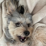 肉汤拌饭吃八碗