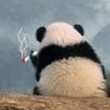 一路向北