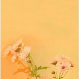 慢