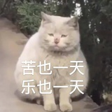不湿鞋