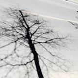 連先森