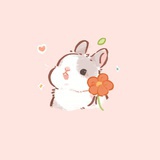 蕾🐰