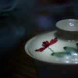 儒尘