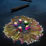 认真读书的玛丽