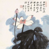 风中的鸭子